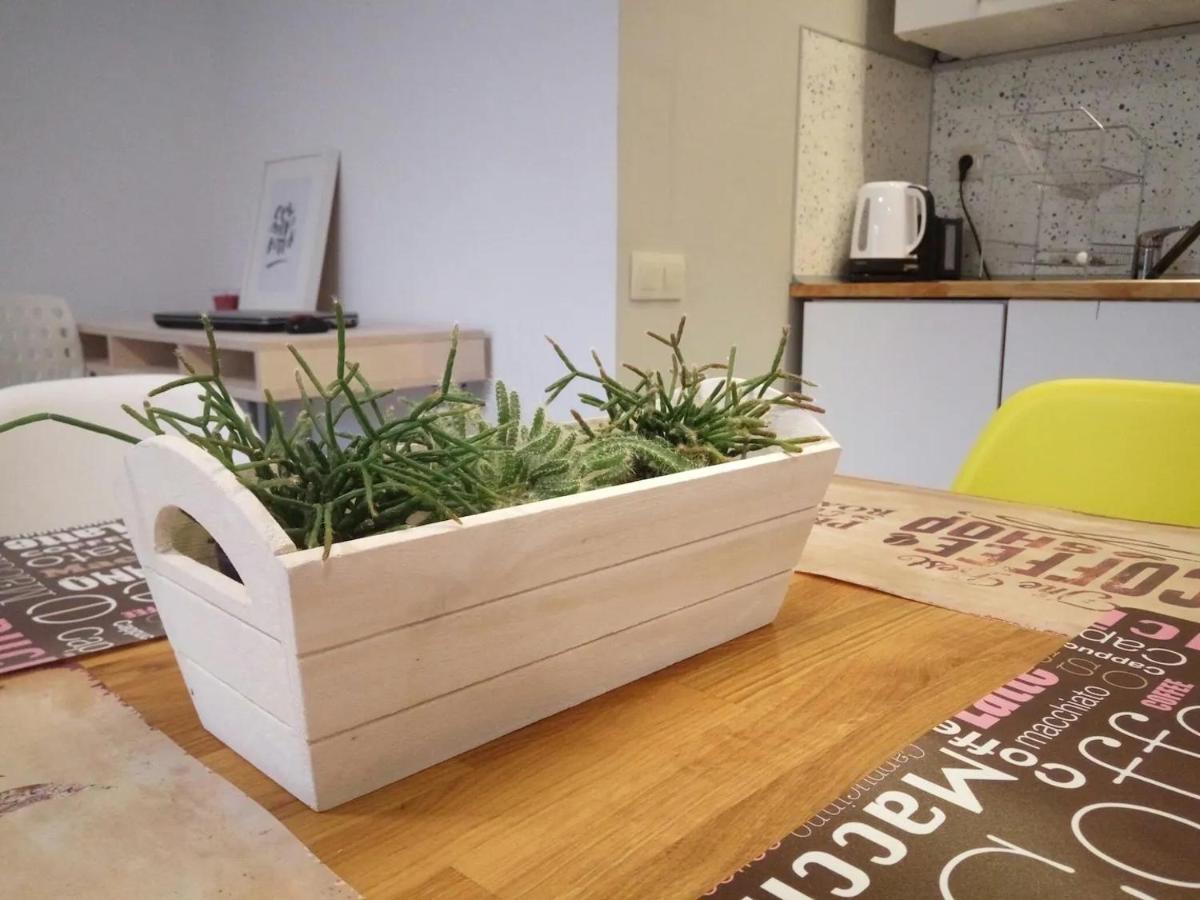 סופיה Quiet & Airy Modern Apt. Top Centre Free Parking מראה חיצוני תמונה